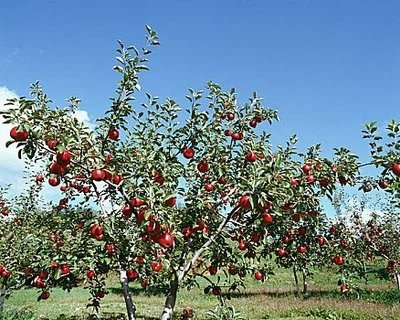 t045a7c7929cf89ca93 t045a7c7929cf89ca93